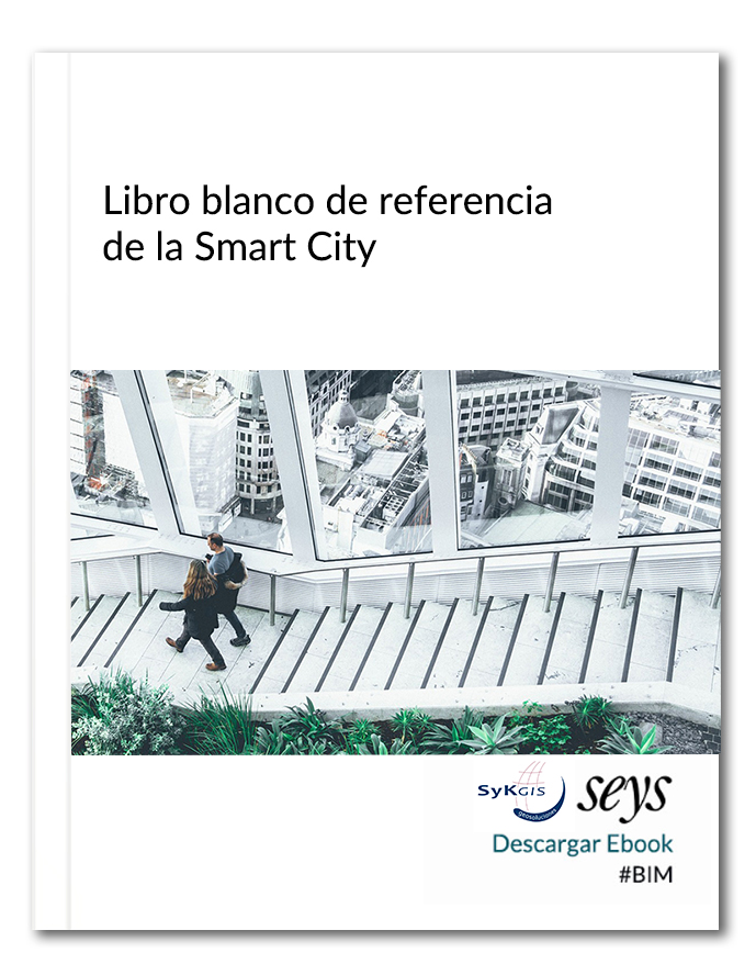 Libro blanco de la Smart City